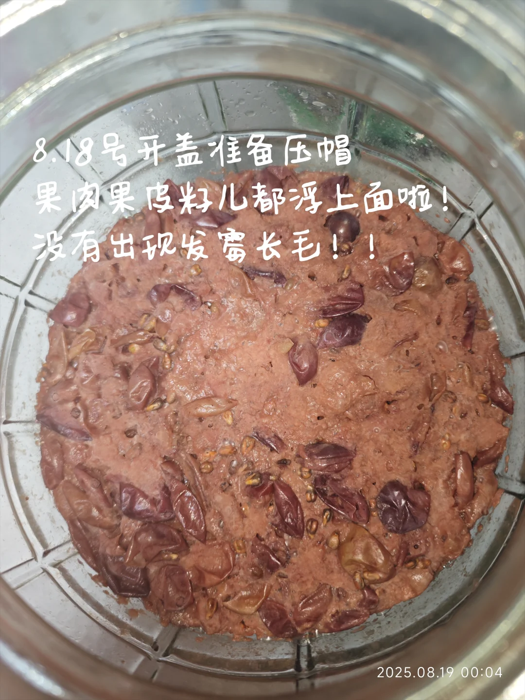 自酿葡萄酒?第一次就成功啦！！！