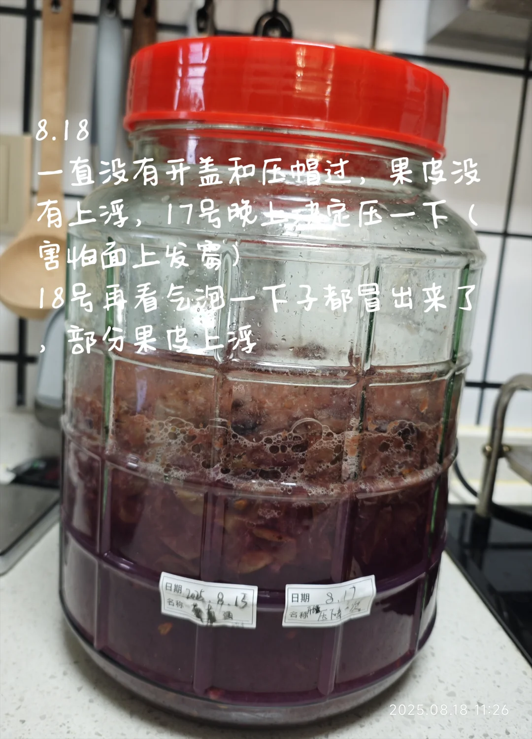 自酿葡萄酒?第一次就成功啦！！！