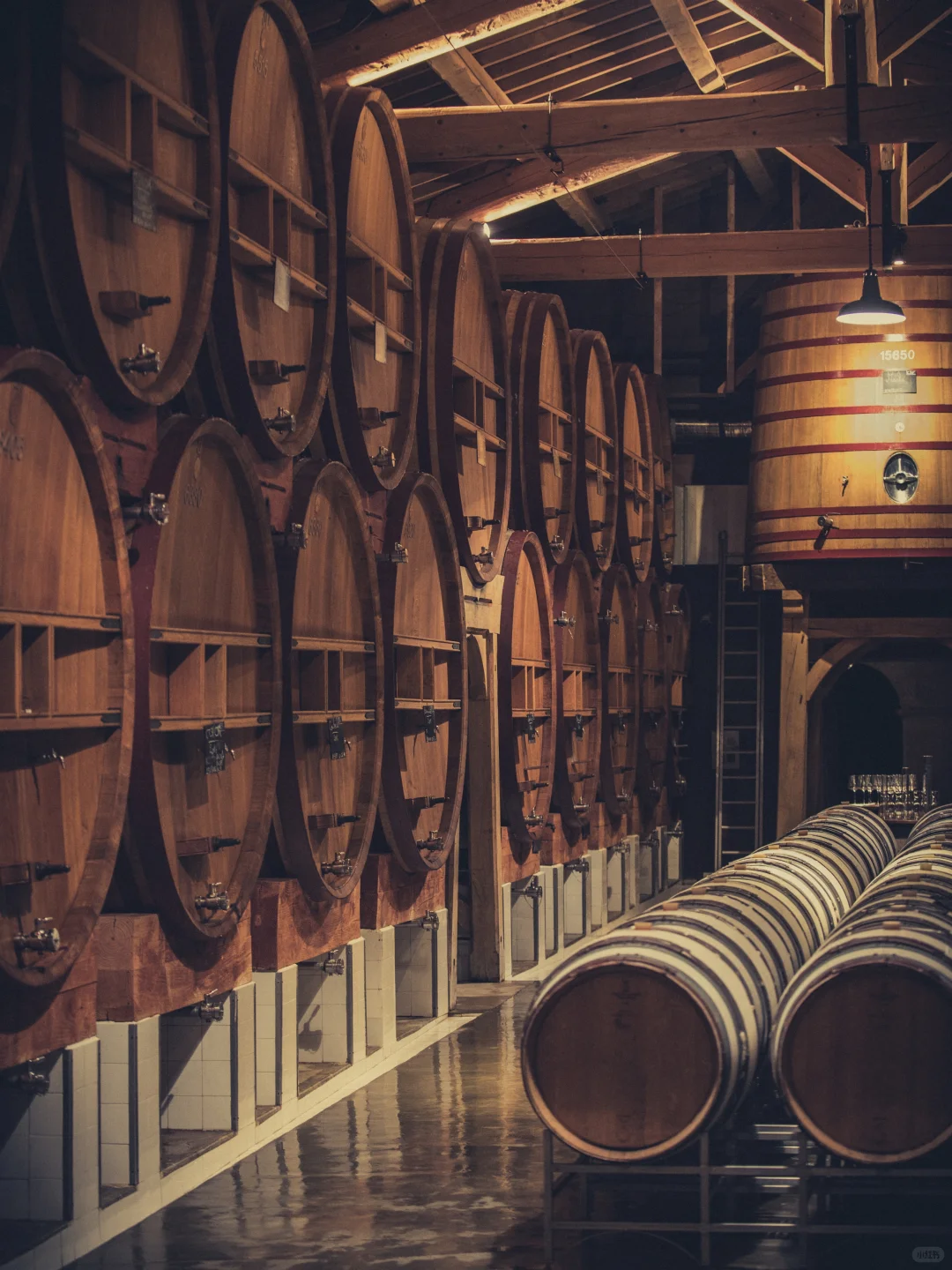 ?美酒进行时！揭秘葡萄酒的酿造过程