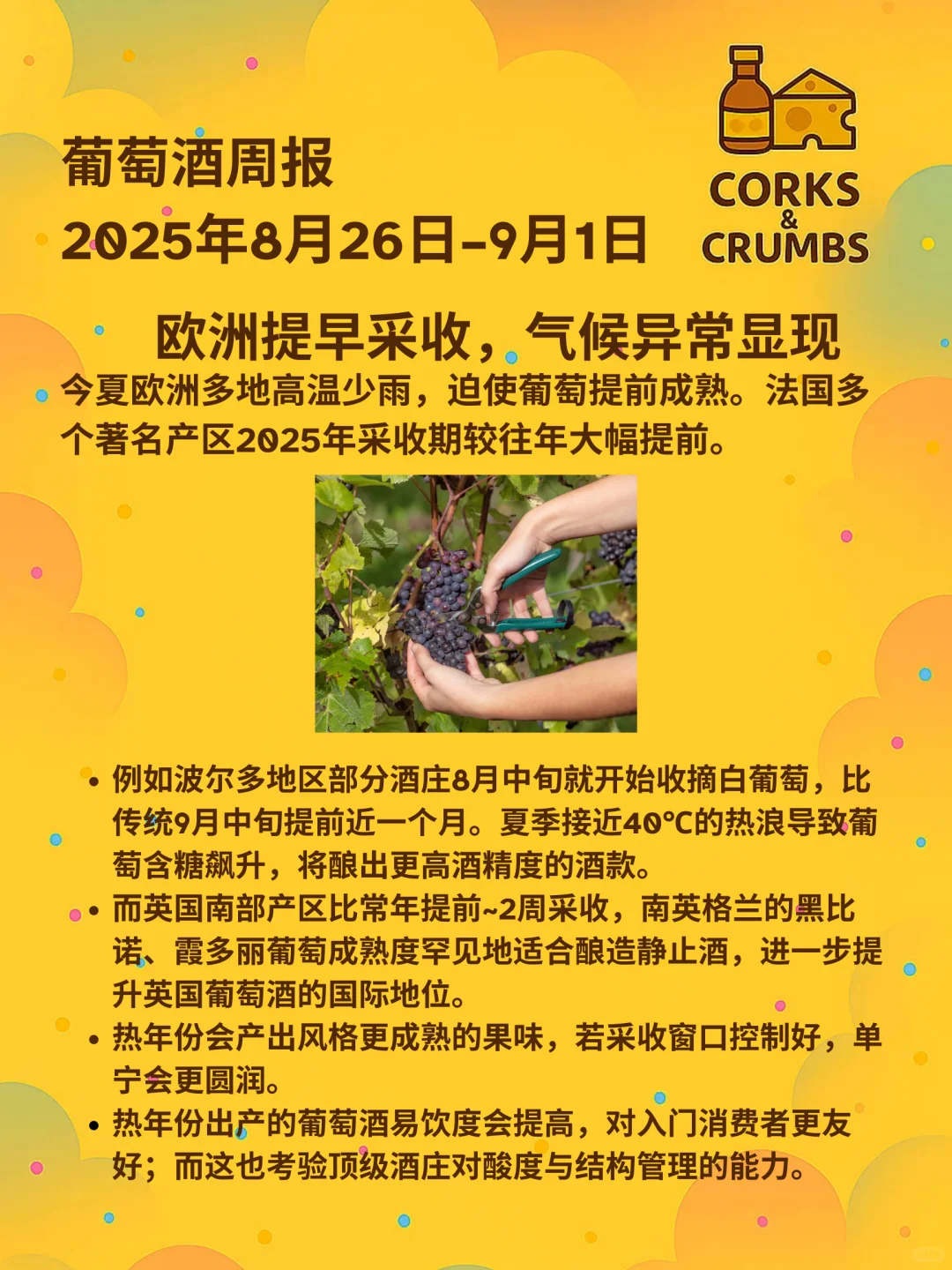 Corky葡萄酒周报 ｜2025.09.01