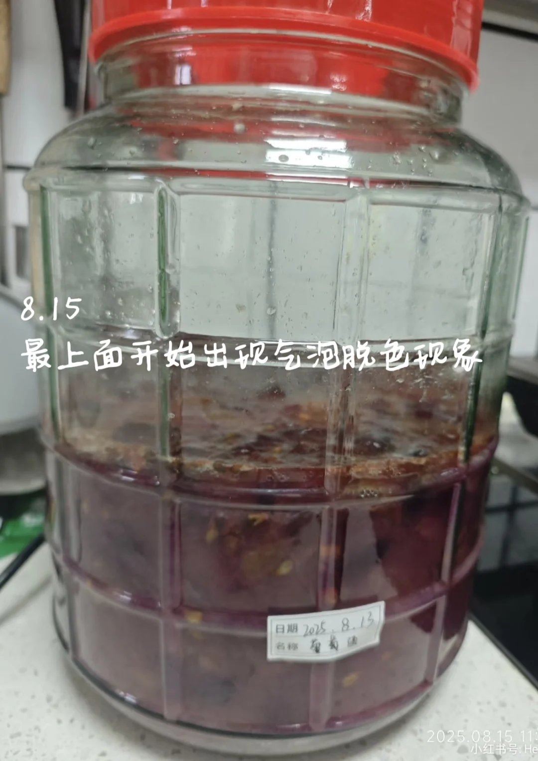 自酿葡萄酒?第一次就成功啦！！！