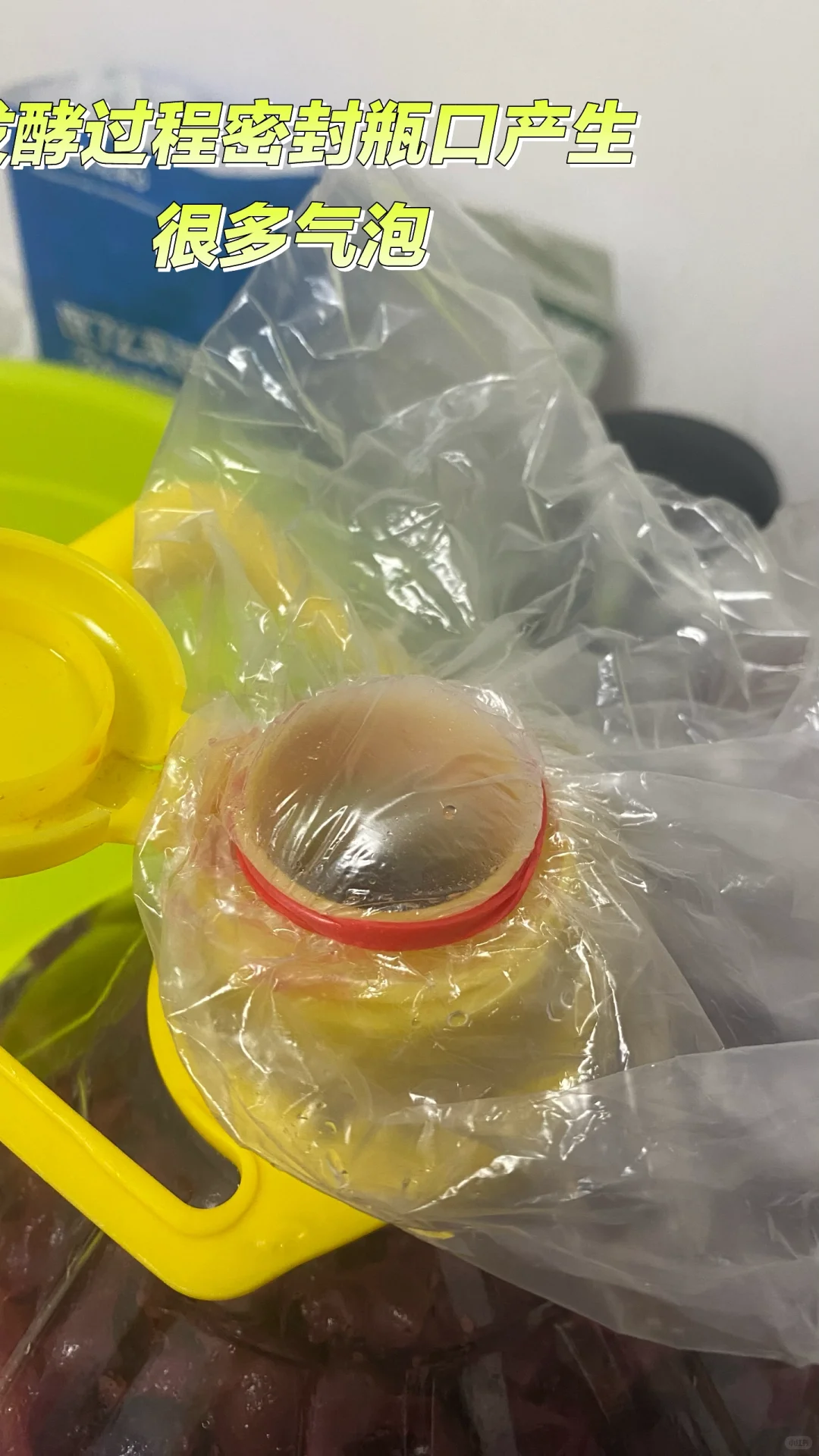 自酿葡萄酒一次成功