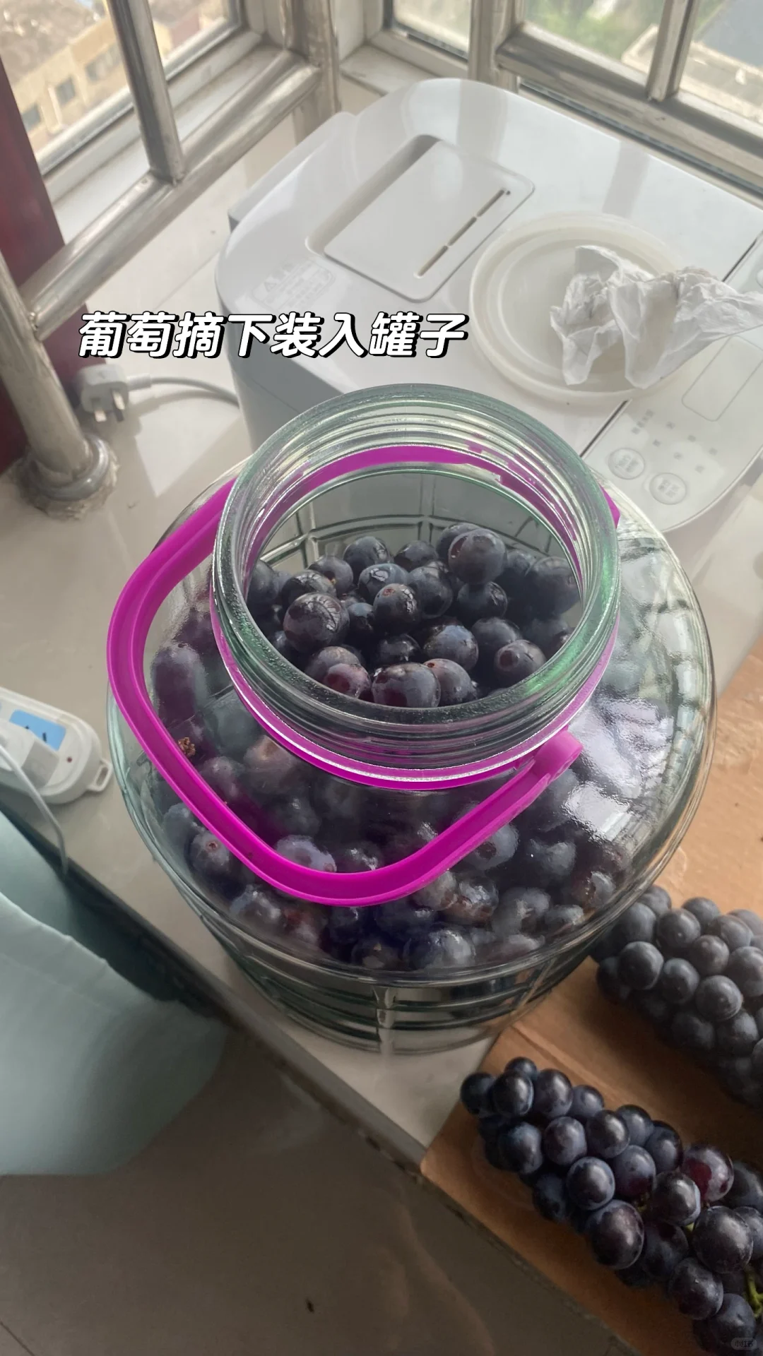 自酿葡萄酒一次成功