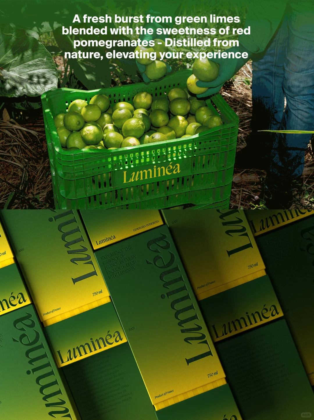 葡萄酒包装设计案例