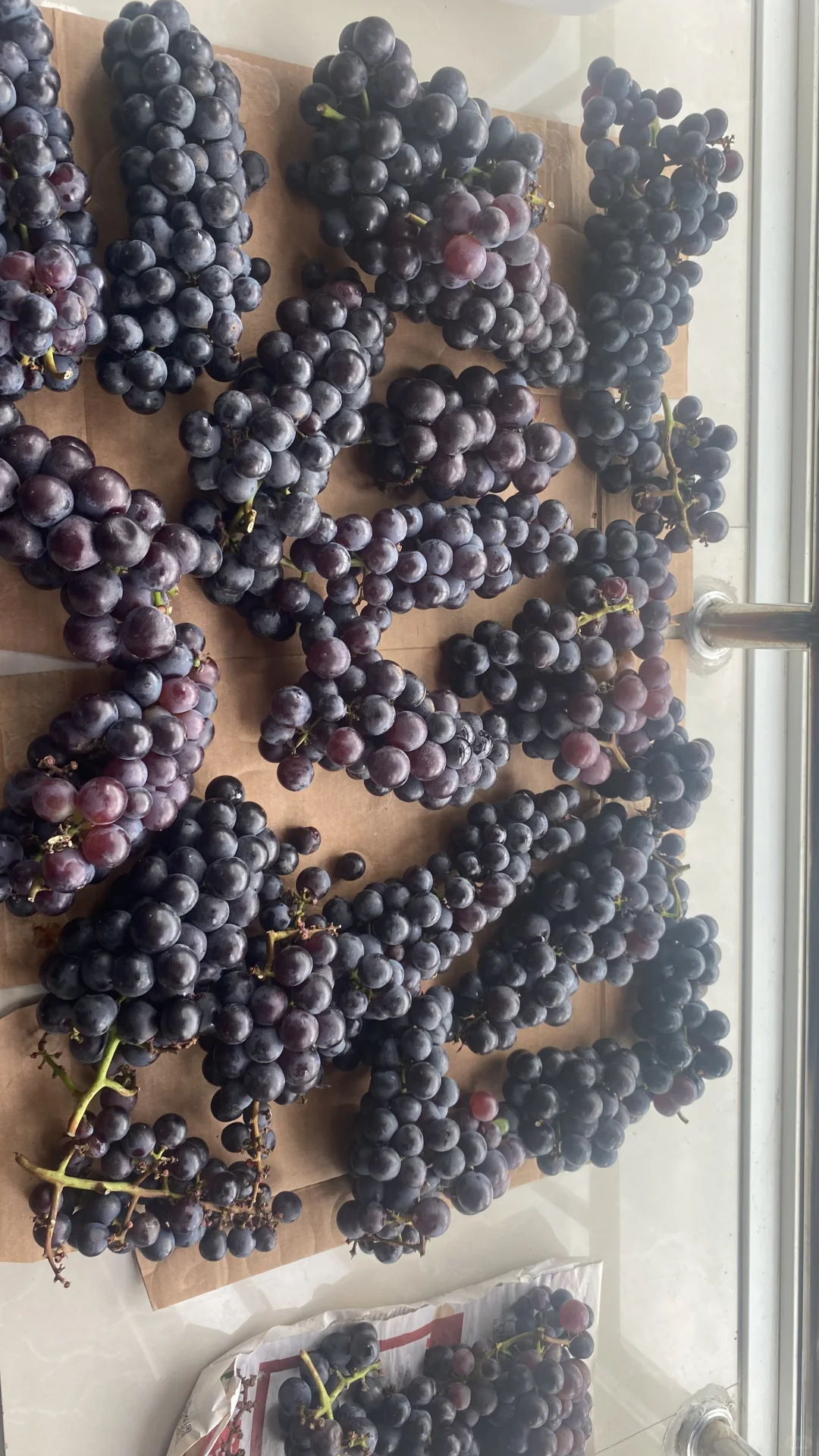 自酿葡萄酒一次成功