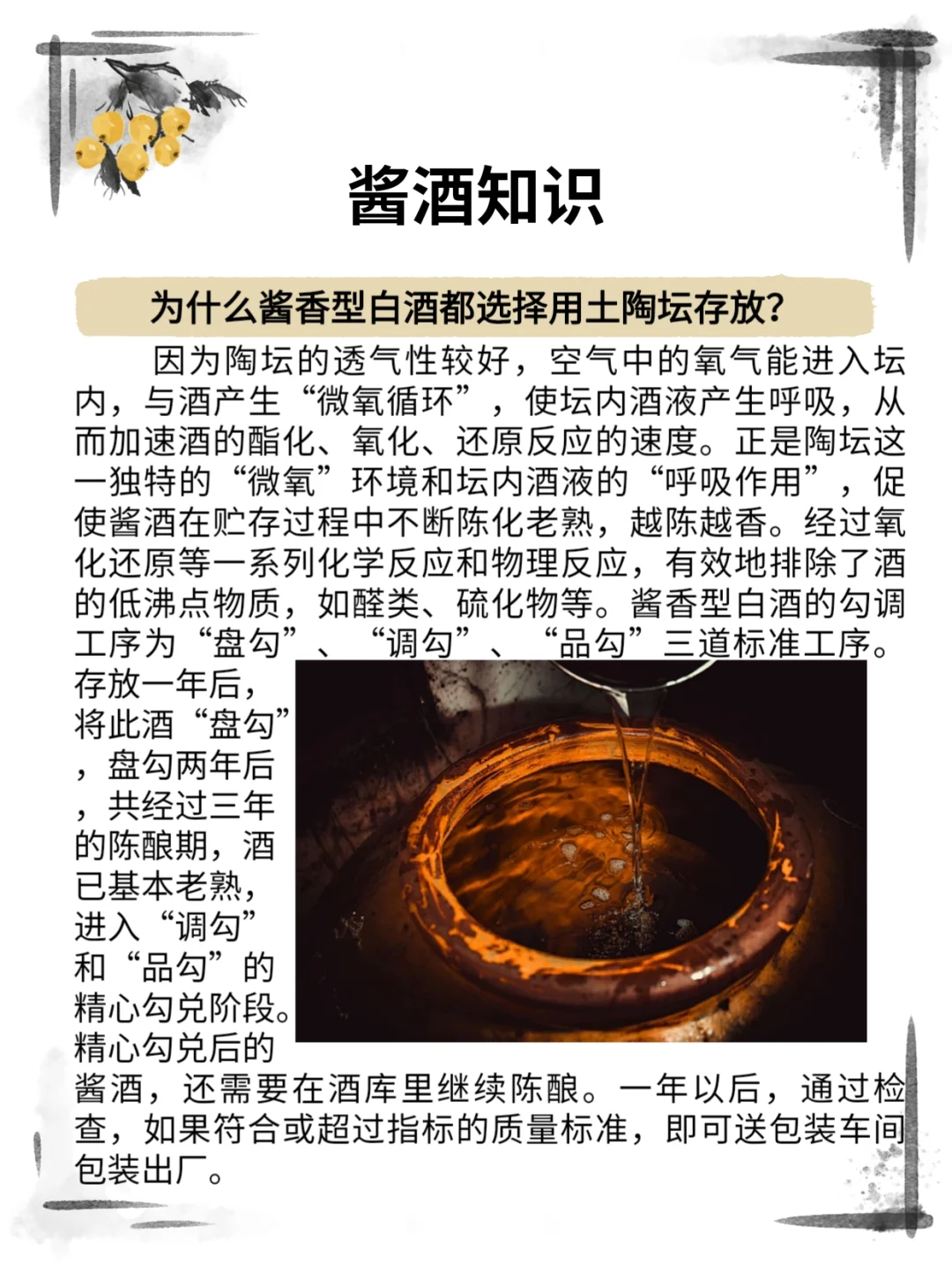 酱酒知识