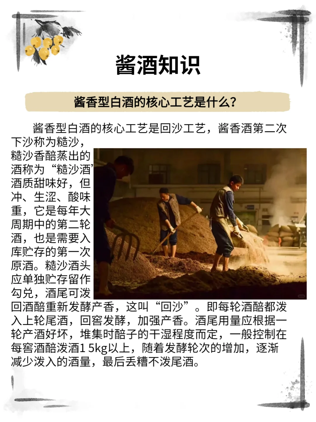 酱酒知识