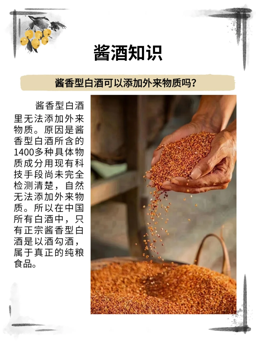 酱酒知识