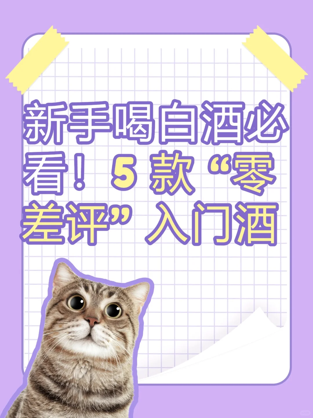 新手喝白酒必看！5 款 “零差评” 入门酒