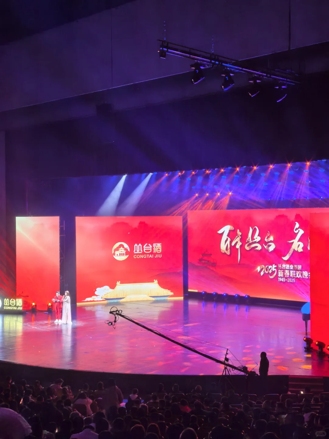 丛台酒业2025新春联欢晚会
