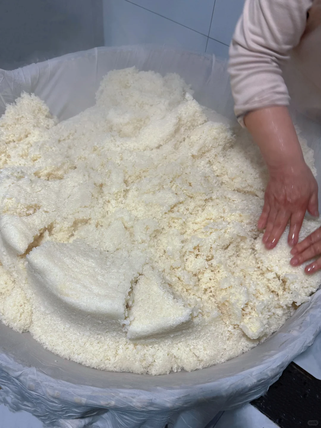 感谢小红书?3个月卖了12000+醪糟