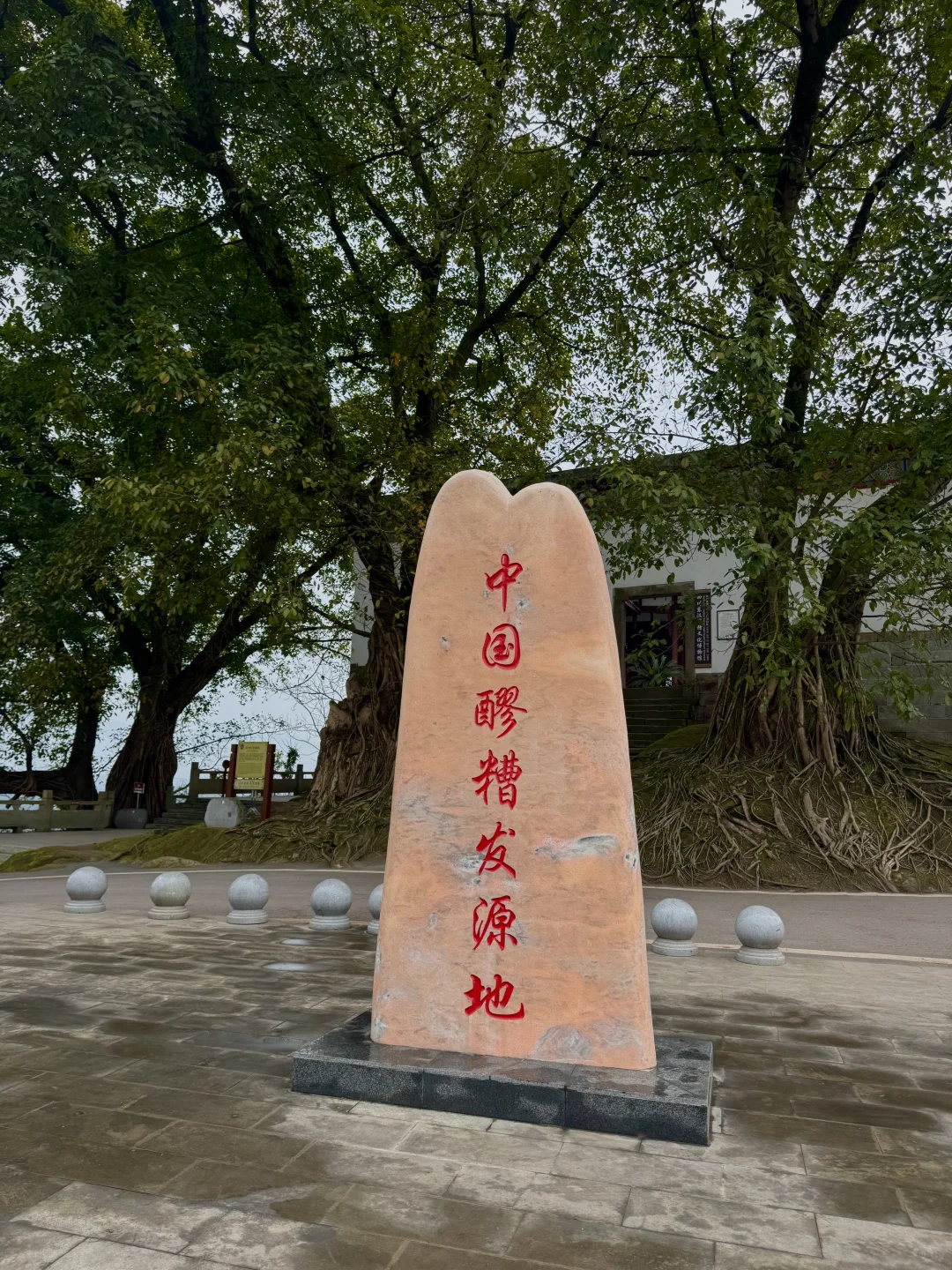 感谢小红书?3个月卖了12000+醪糟