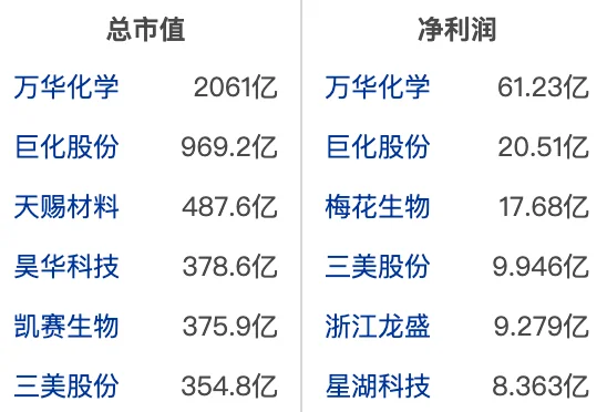 大A化学制品行业龙头