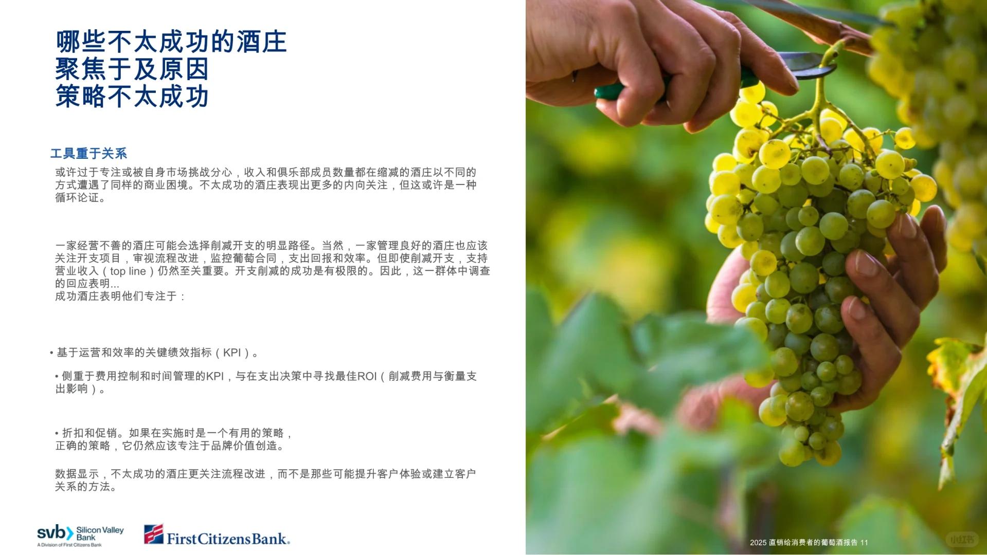 2025年直接面向消费者的葡萄酒报告