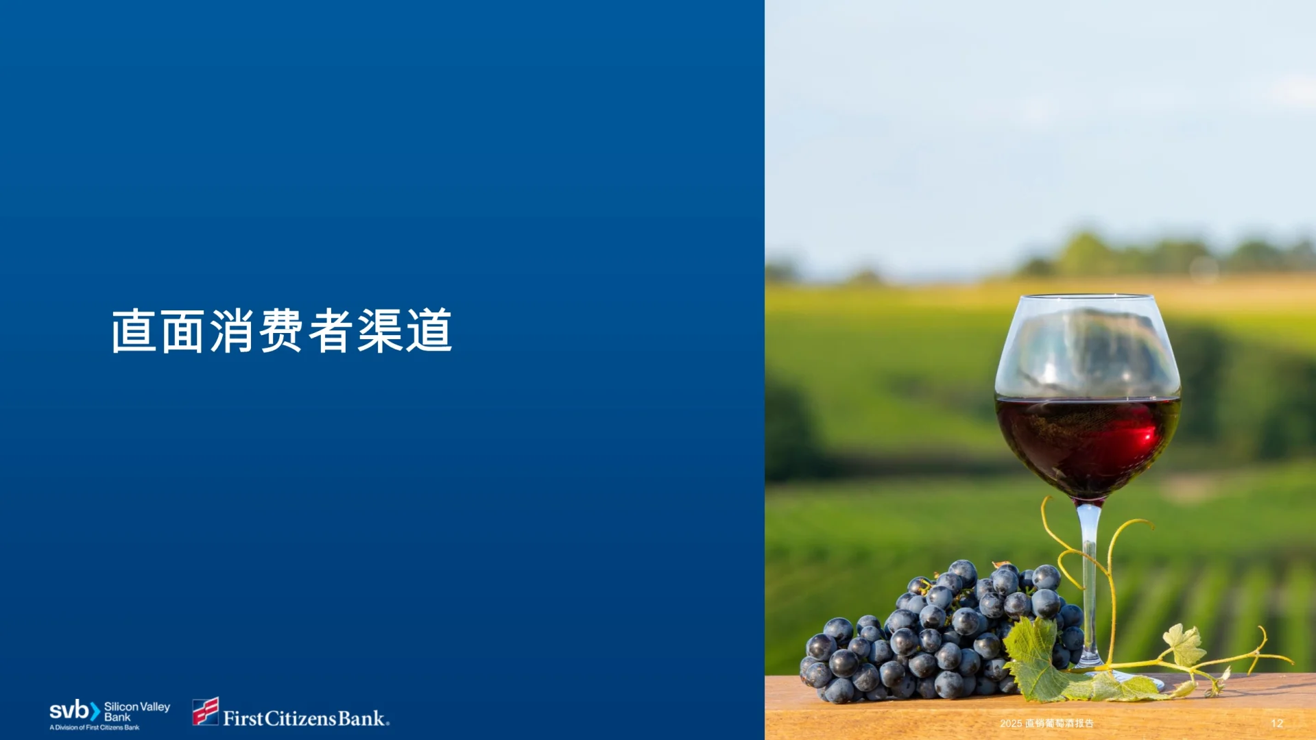 2025年直接面向消费者的葡萄酒报告