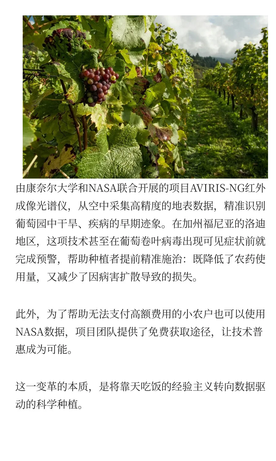 Voice行业前沿丨5大数字技术重构葡萄酒产业