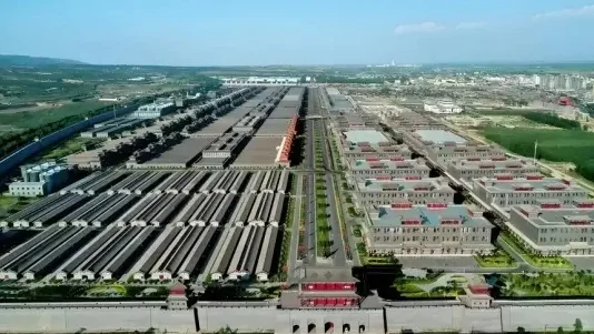清香型白酒：传统工艺与现代市场的融合