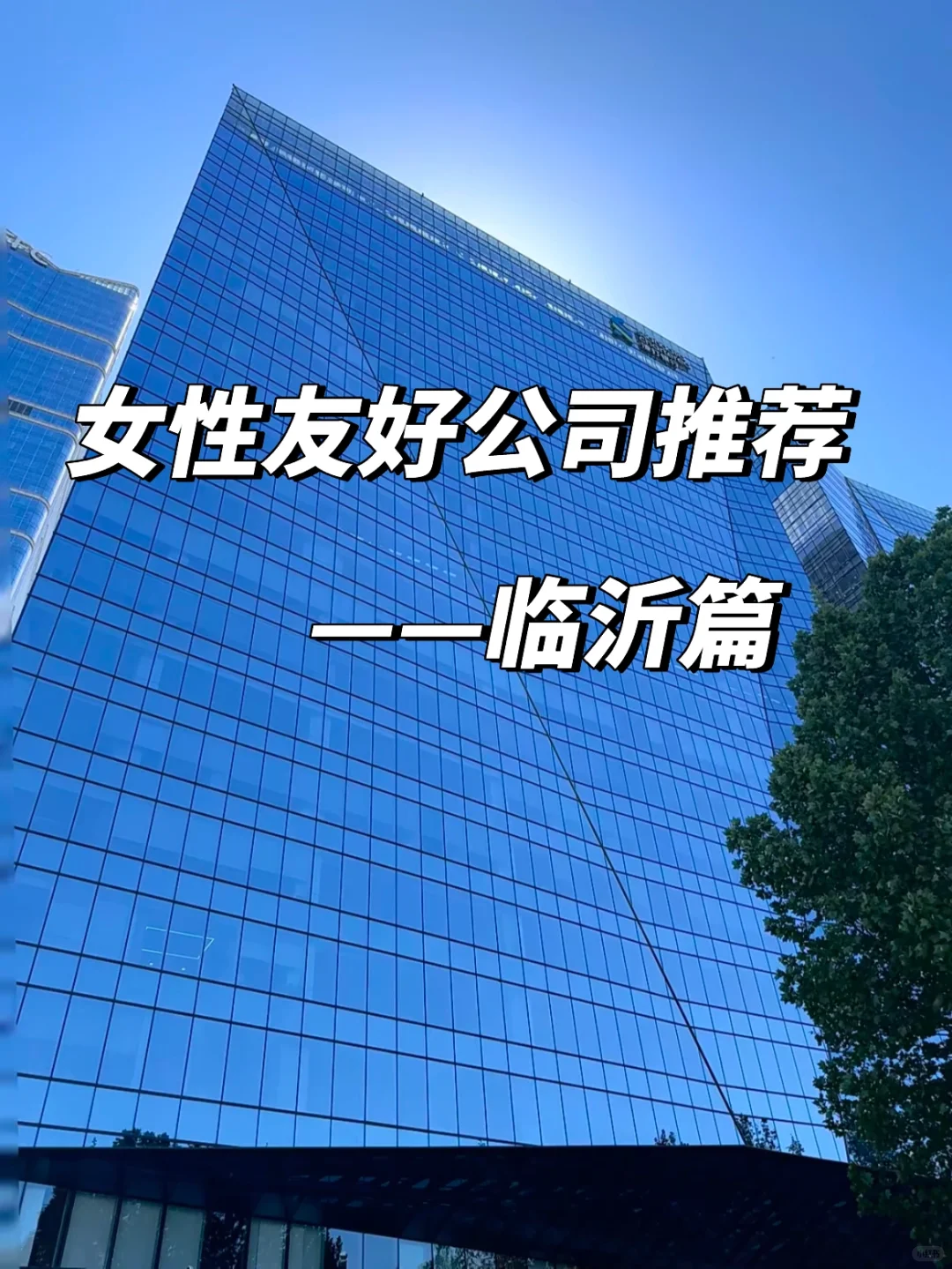 女性友好公司——临沂篇