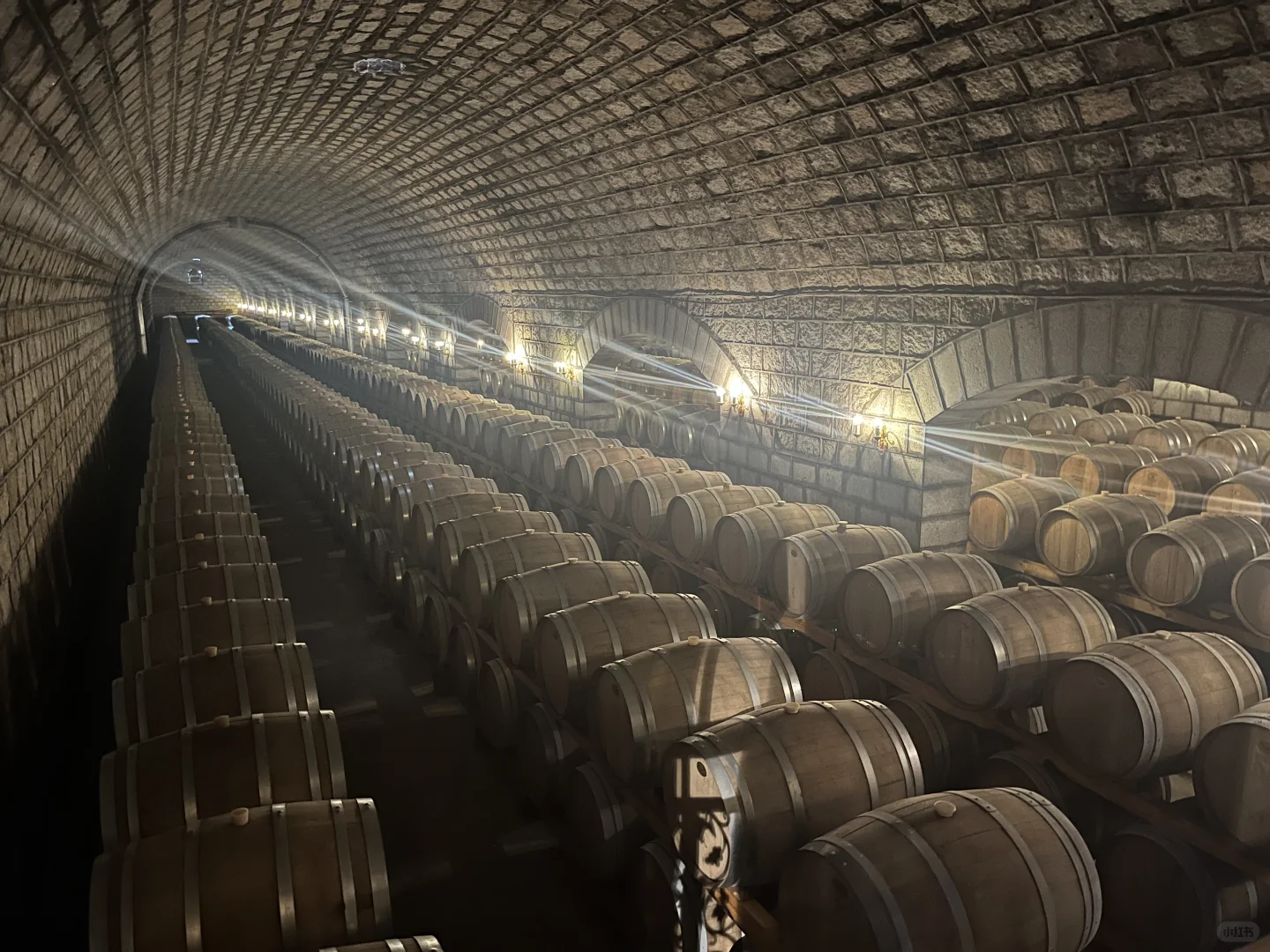 国内葡萄酒旅游初体验