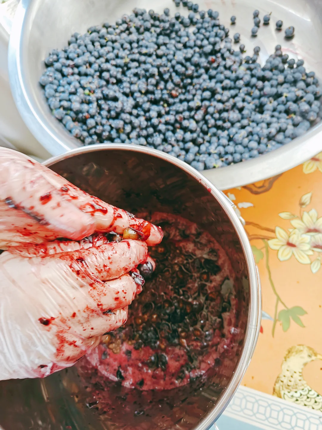 自制葡萄汁与葡萄酒