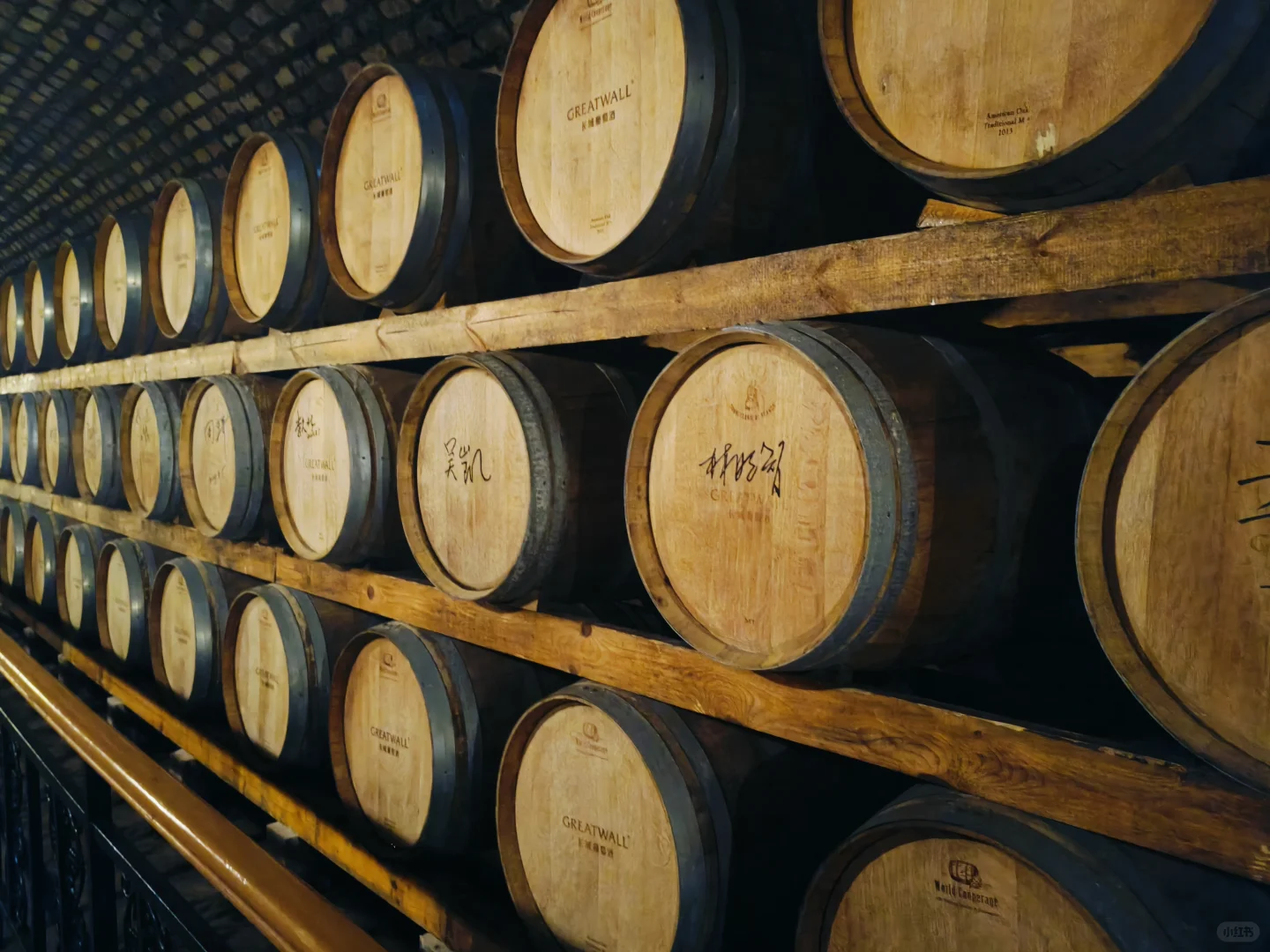 葡香筑梦|在昌黎解锁葡萄酒的“诞生密码”