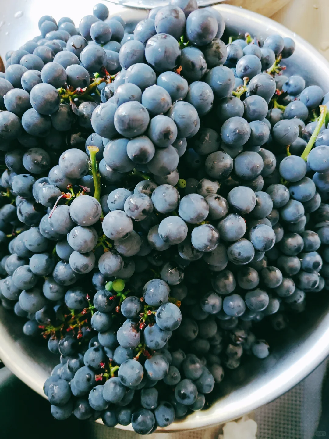 自制葡萄汁与葡萄酒