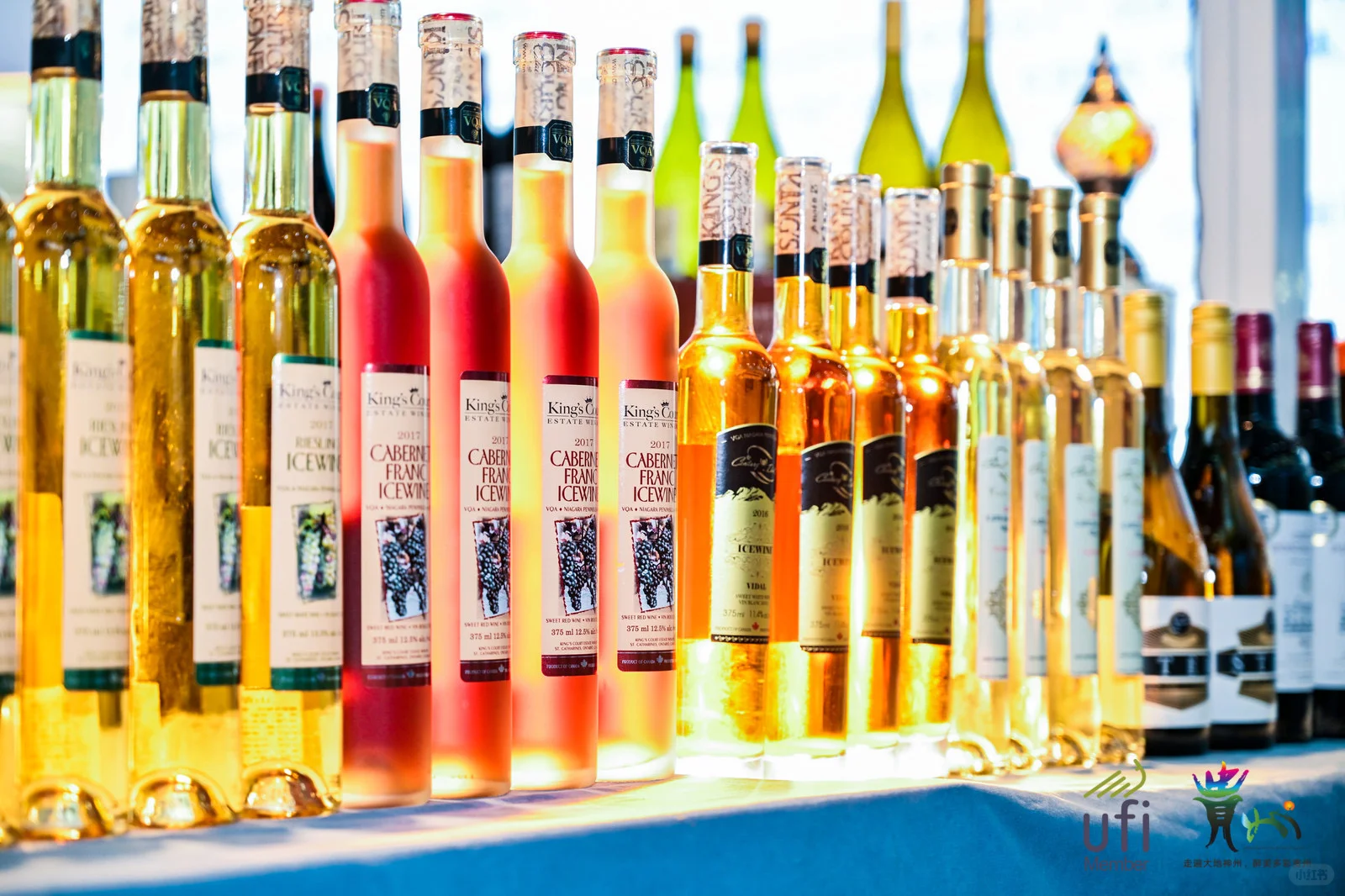 贵州酒博会来啦，冲冲冲！！！