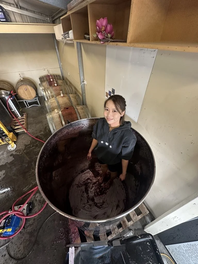 酿酒师日常 Dig out是个苦力活