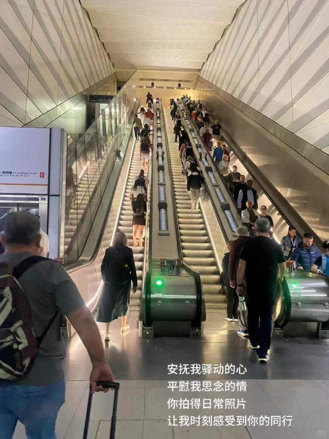 70后的念，甜红葡萄酒里的不无眠