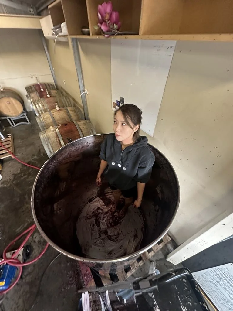 酿酒师日常 Dig out是个苦力活