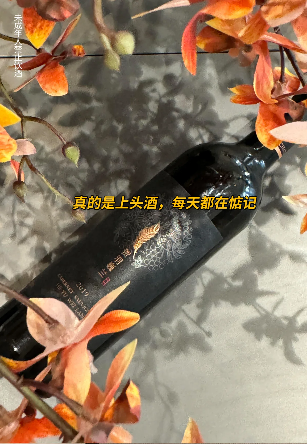 新手喝红酒怕踩雷？99.9元6瓶免费试喝?