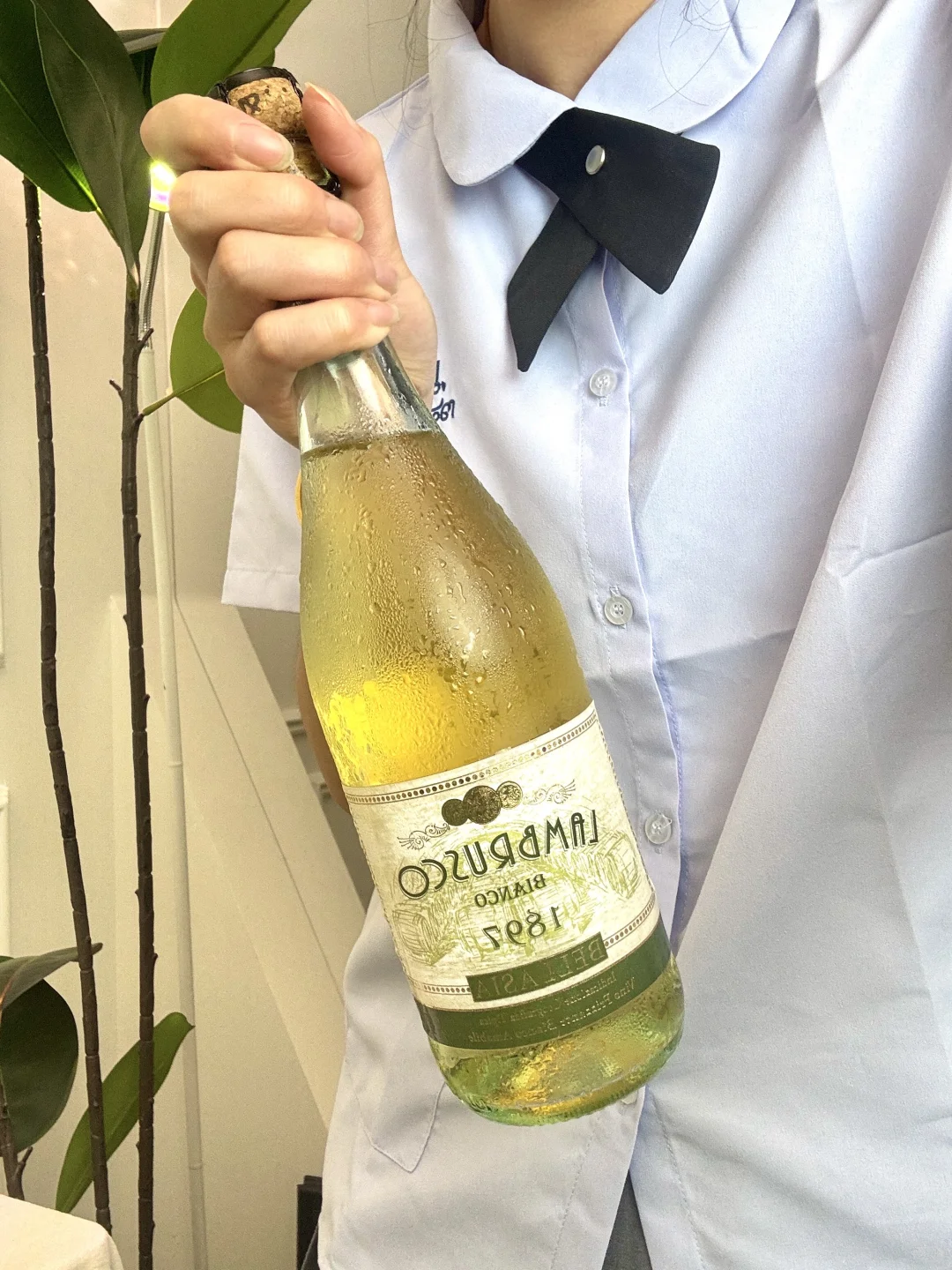 我宣布！这是目前为止喝过最好喝的甜白！！