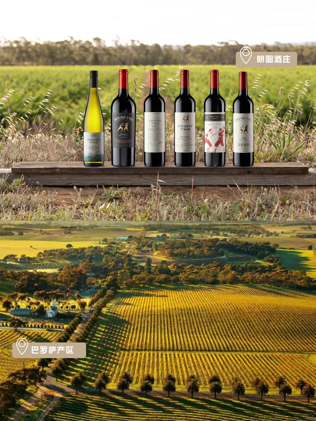 喝葡萄酒六大好处