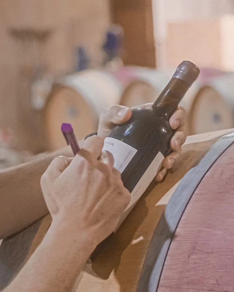 葡萄酒文案:活在当下