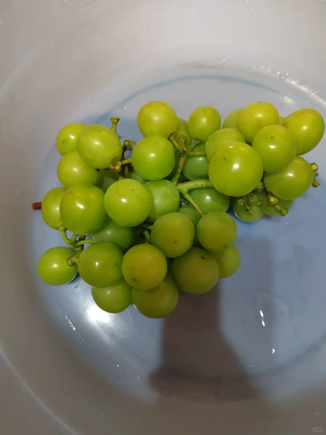 葡萄酒完美收官