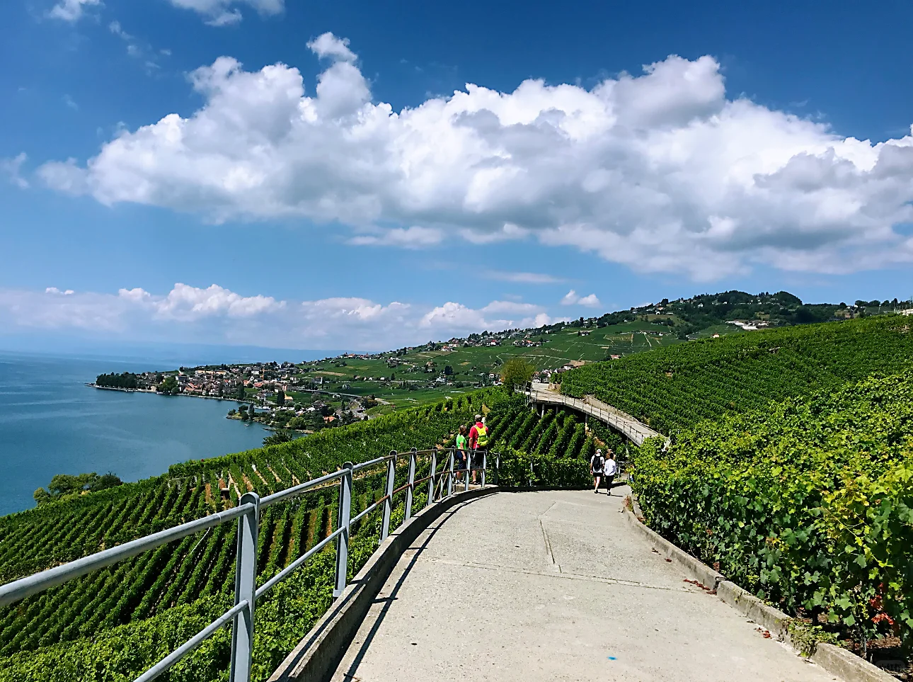 ?葡萄酒香里的梦幻之境