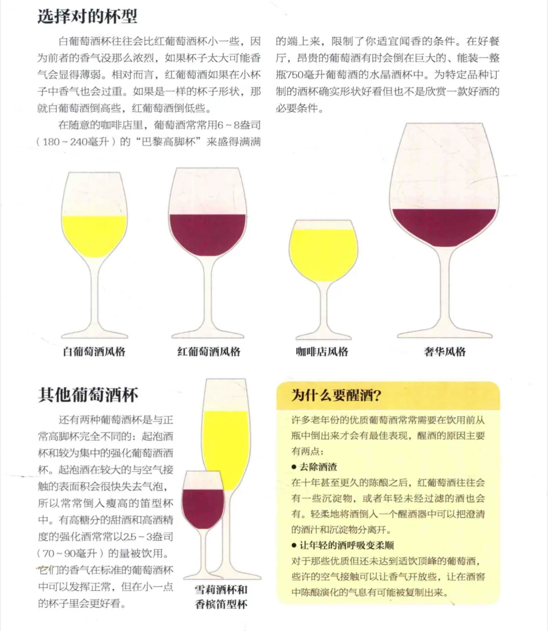 葡萄酒基础知识｜开瓶、醒酒、酒杯、温度