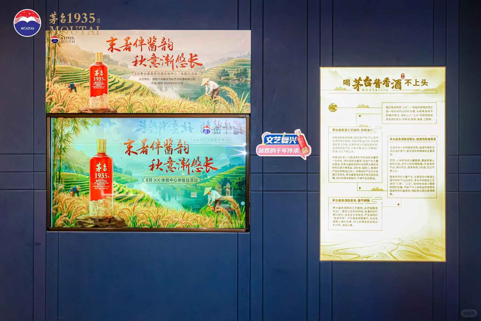 茅台1935商业活动拍摄
