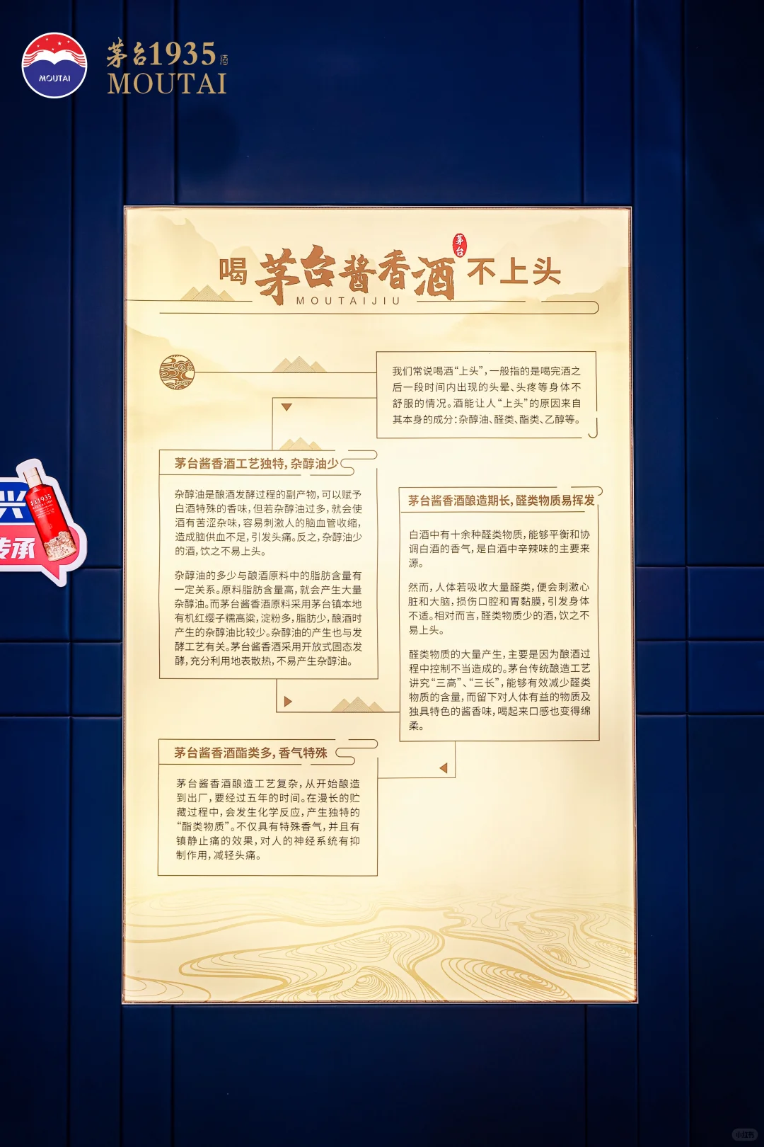 茅台1935商业活动拍摄