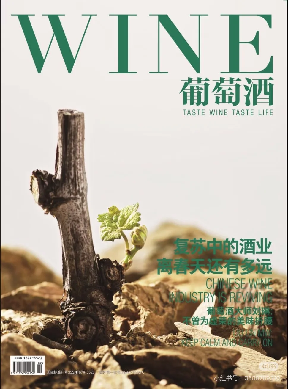 《葡萄酒》省级 维普收录