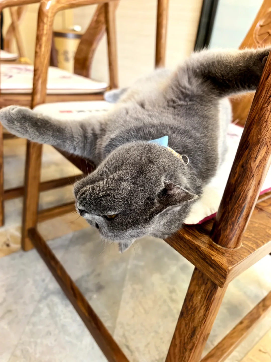 老洋房里的葡萄酒品鉴会?