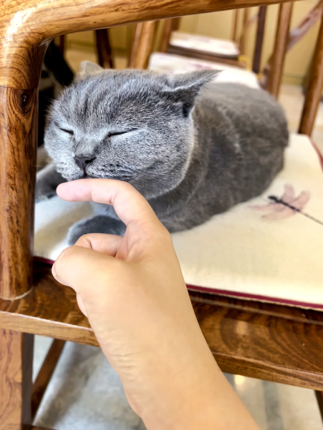 老洋房里的葡萄酒品鉴会?