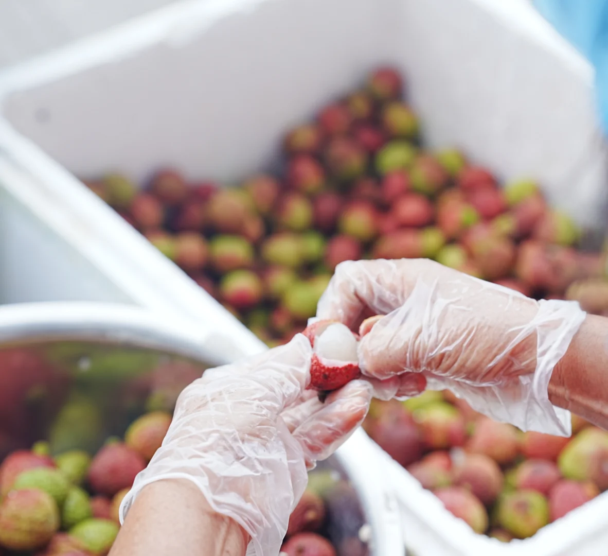 ?行业揭秘❗别再花冤枉钱喝香精荔枝酒了