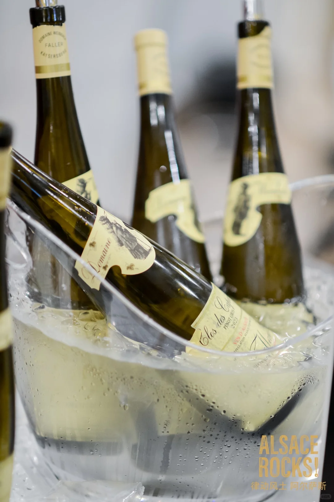 友情客串在阿尔萨斯酒展