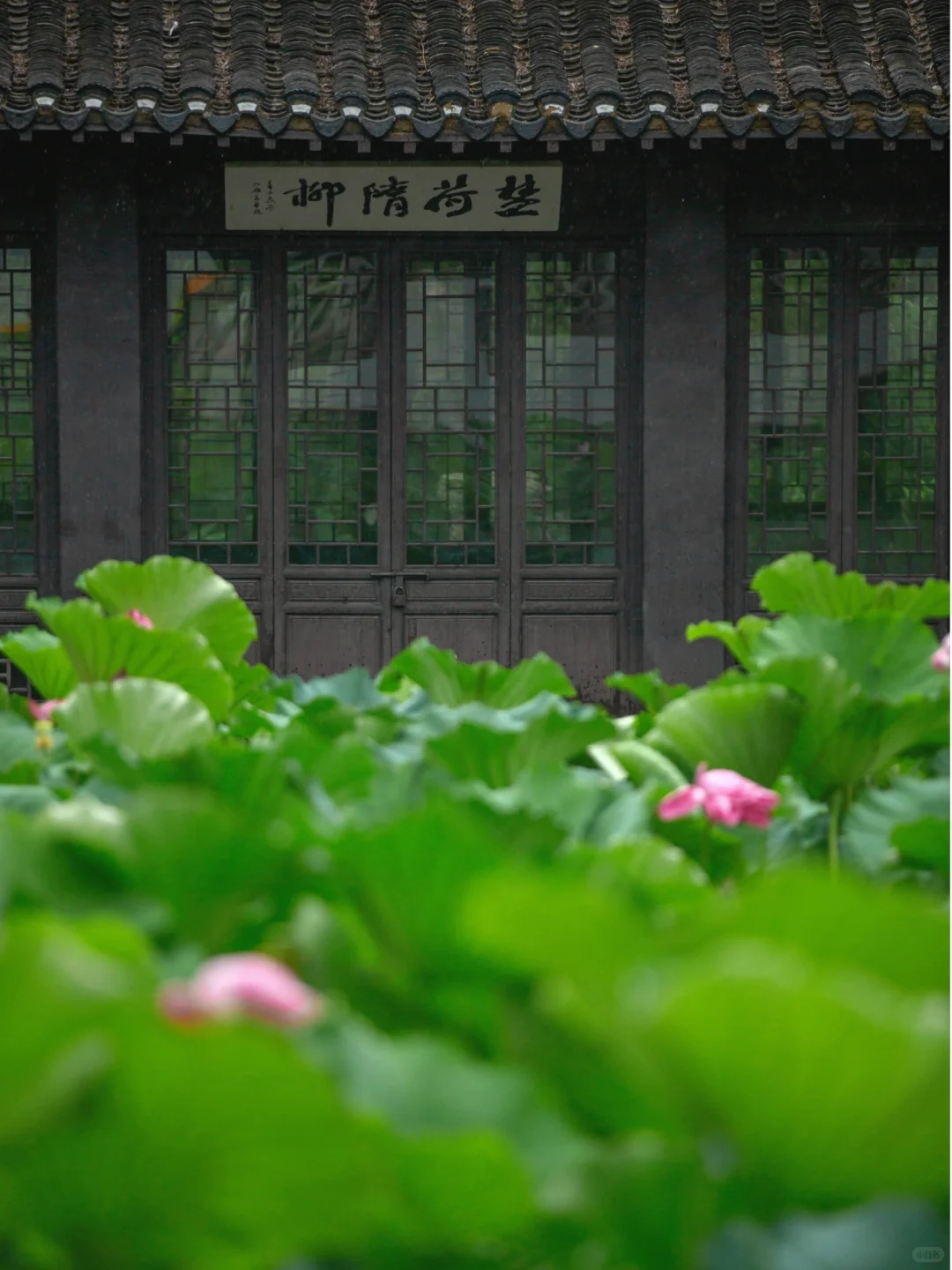 秋风轻拂添满香，把酒欢聚享清欢 。