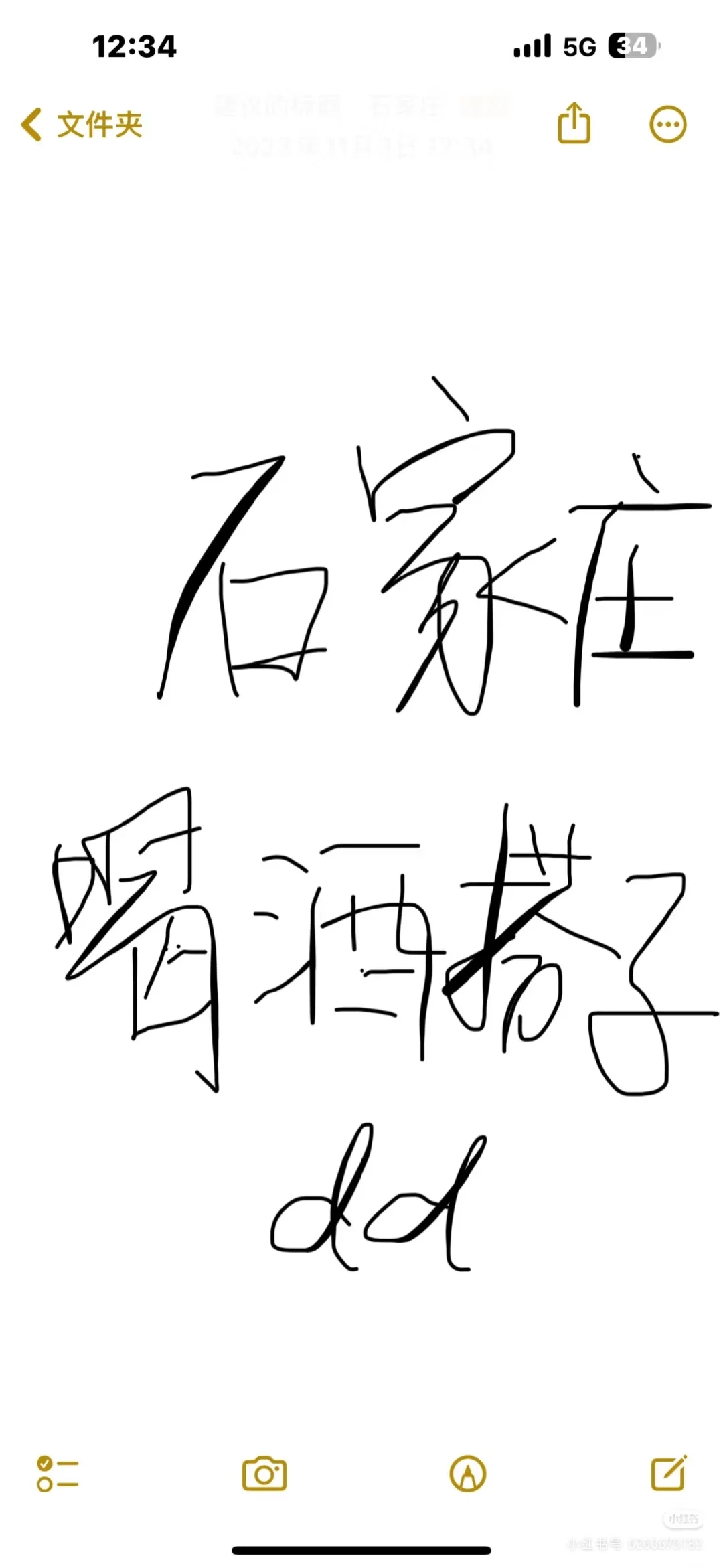 石家庄今天喝酒搭子