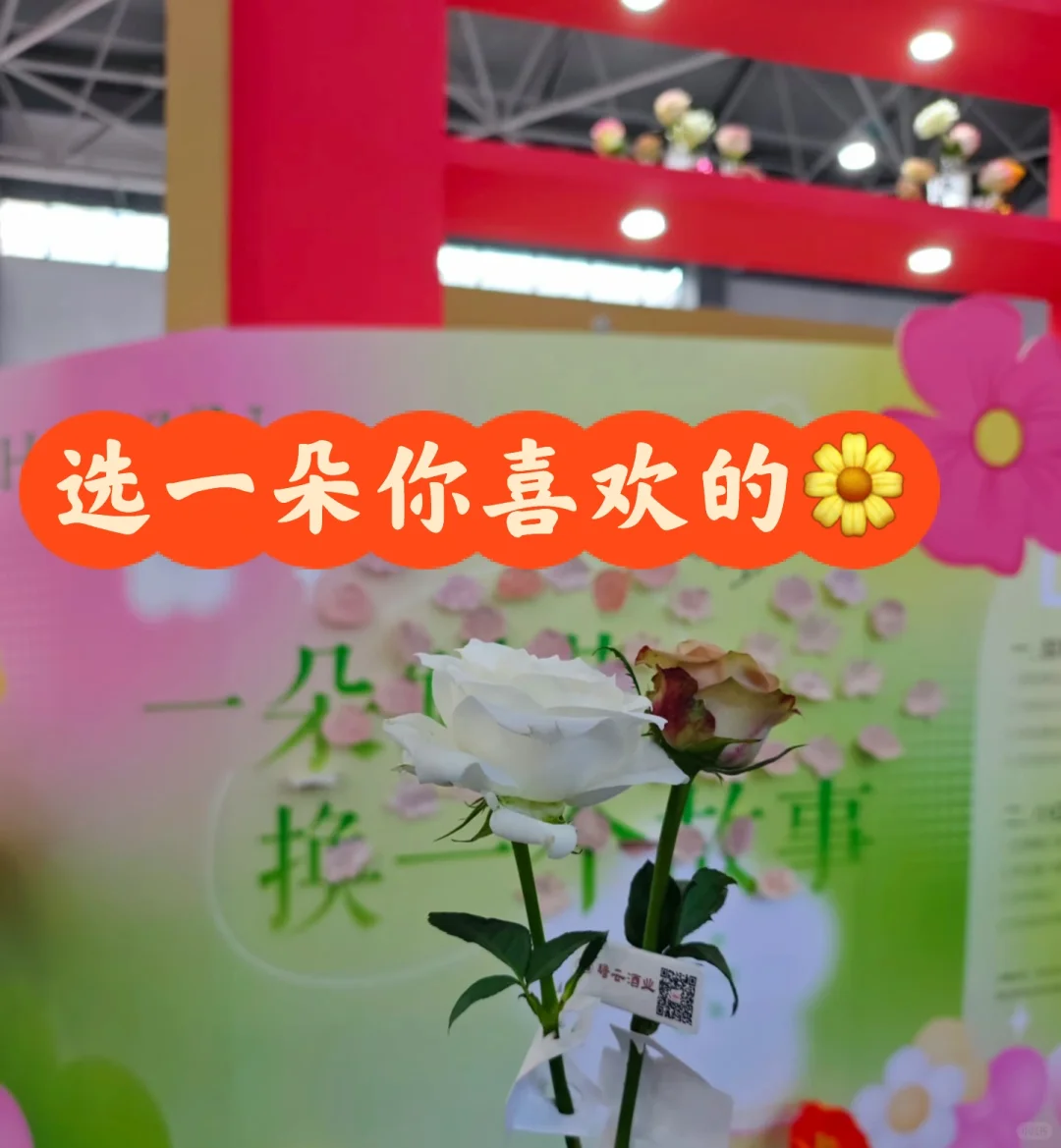 我在贵州酒博会一天喝了X杯，居然……