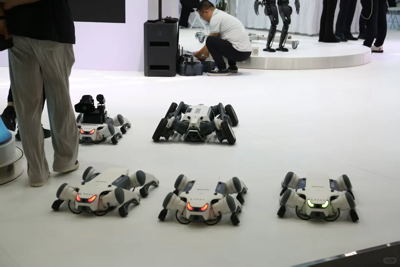 不虚此行！展会打卡?