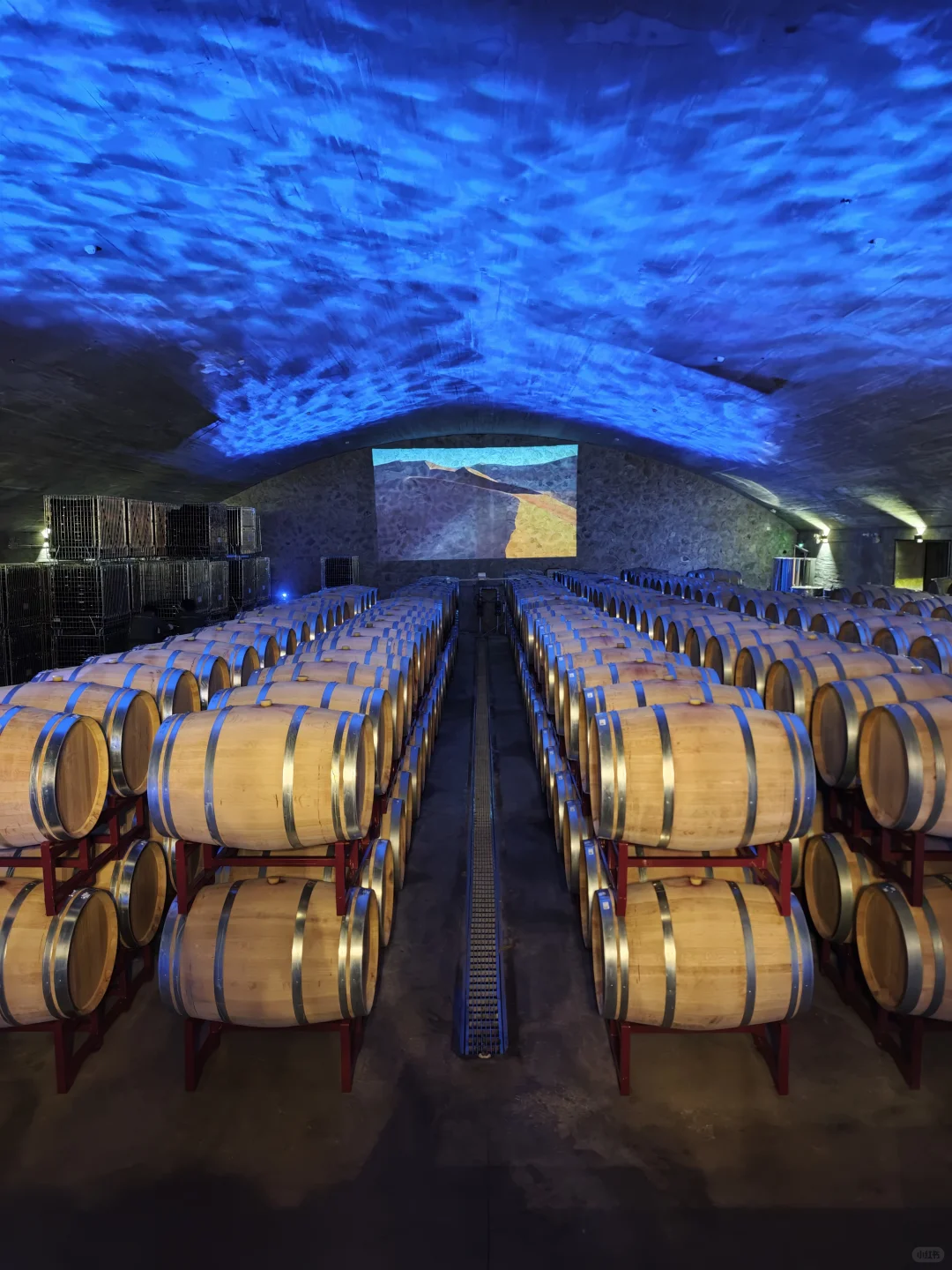 银川｜小众到不想分享的葡萄酒庄之旅?！