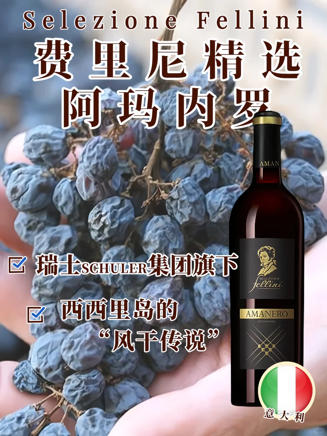 葡萄酒生存日历：职场人每日5分钟选酒指南